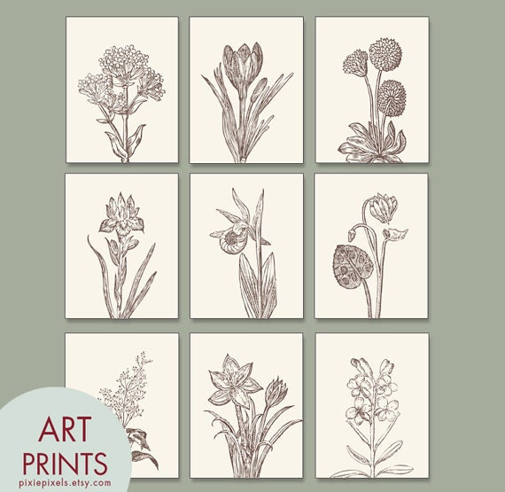 Wild Flower Botanical Prints Series G Set of 9 Art Prints | Etsy