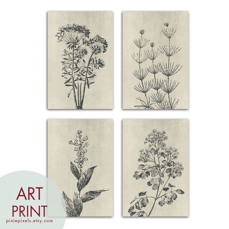 Wild Field Flower Series B9 Set of 4 Art Prints Featured in Charcoal on Stone Wash Botanical Flower Art Prints image 2