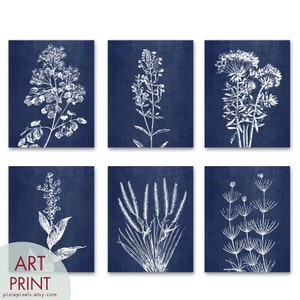 Wild Field Flowers Series B7 Set of 6 Art Prints Featured in China Blue Silk Botanical Flower Art Prints image 3