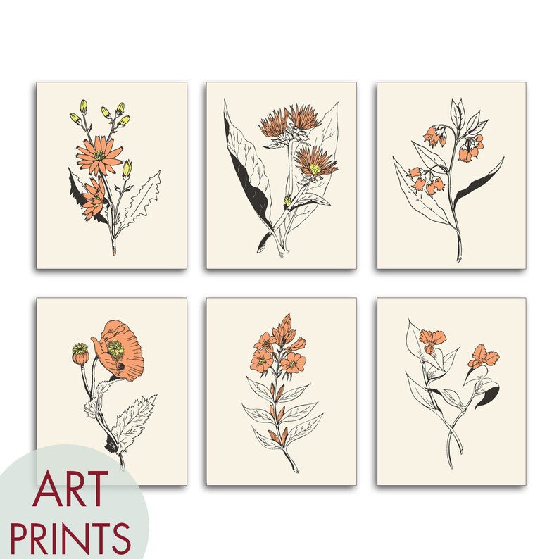 Featured on Cream with Cadmium Orange Accent Set of 6 Botanical Flower Art Poster Unframed Art Prints A1 Minimalist Wild Flower Sketch