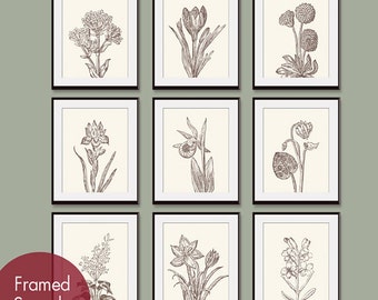 Wild Flower Botanical Prints (Series G) Set of 9 - Art Prints -(Featured in Cream and Chocolate)