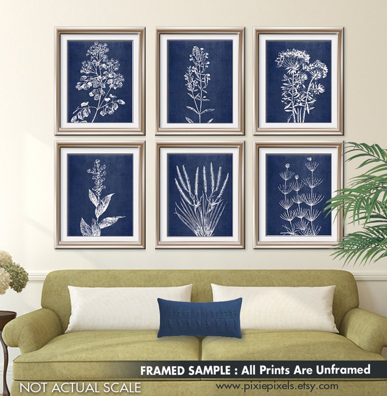 Wild Field Flowers Series B7 Set of 6 Art Prints Featured in China Blue Silk Botanical Flower Art Prints image 1