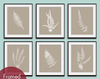 Ferns Garden Botanical Prints (Series J) Set of 6 - Art Prints (Featured in Truffle Brown and White) AS featured in BHG