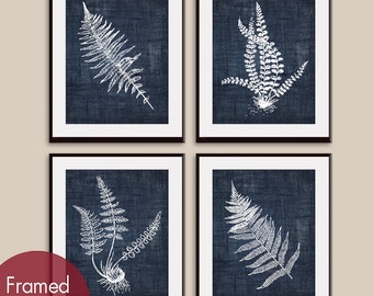 Ferns (Series D4) Set of 4 - Art Prints (Featured in Denim Jeans) Botanical Flower Art Prints