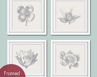 Botanical Flower Bud (Series A) Set of 4- Square Art Poster Prints (Featured in Pale French Grey and Dolphin Grey) Personalized Colors