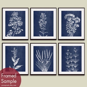 Wild Field Flowers Series B7 Set of 6 Art Prints Featured in China Blue Silk Botanical Flower Art Prints image 2