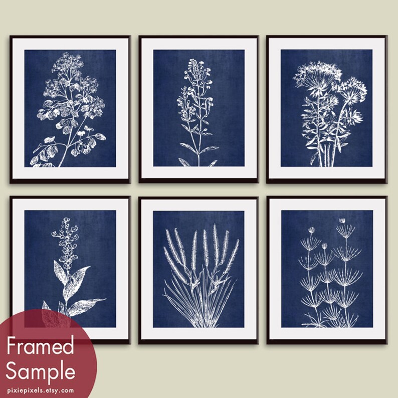 Wild Field Flowers Series B7 Set of 6 Art Prints Featured in China Blue Silk Botanical Flower Art Prints image 2