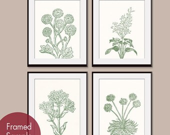 Wild Flowers Botanical Prints (Series C) Set of 4 - Art PRINTS (Featured in Thyme and Soft Cream)