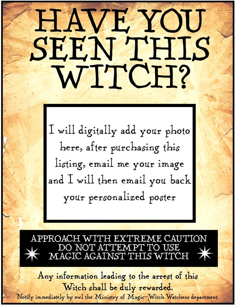 Have You Seen This WizardWitch 8 12 x 11 inch digital Have You Seen This