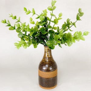 May include: A brown and tan striped ceramic vase displays a collection of vibrant green eucalyptus stems. The vase features a slender neck and a broader base. The eucalyptus has small, rounded leaves.