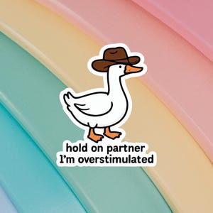 Hold on Partner I&#39;m Overstimulated Sticker Cowboy, lustiges anti-soziales Meme, süße Ente, Planer, Laptop, Wasserflasche, Planer, Kindle