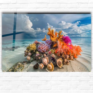 Underwater Coral Reef Wall Art | Vibrant Ocean Fish Tempered Glass Wall Art | Tropical Marine Life Decor | Beach House Gift | Ready to Hang