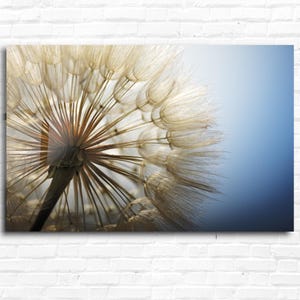 Tempered Glass Dandelion Art-Large Wall Art-Glass Wall Art-Abstract Nature Art-Housewarming Gift-Unique Home Decor-Office Decor-Wall Hanging