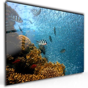 Colorful Fish Glass Wall Art, Underwater Tempered Glass Wall Decor, Unique Gifts, Anniversary Gifts, Aquarium Wall Art, Bathroom Wall Art