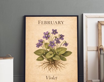 Februar Geburtsblume druckbare, Vintage violette botanische Wandkunst, Vintage Plakat, digitaler Download