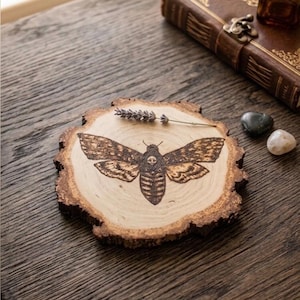 May include: A circular wood slice coaster featuring a dark, detailed pyrography illustration of a death's-head hawkmoth with a skull pattern on its thorax. The natural light-colored wood grain is visible, surrounded by a rough, dark bark edge.
