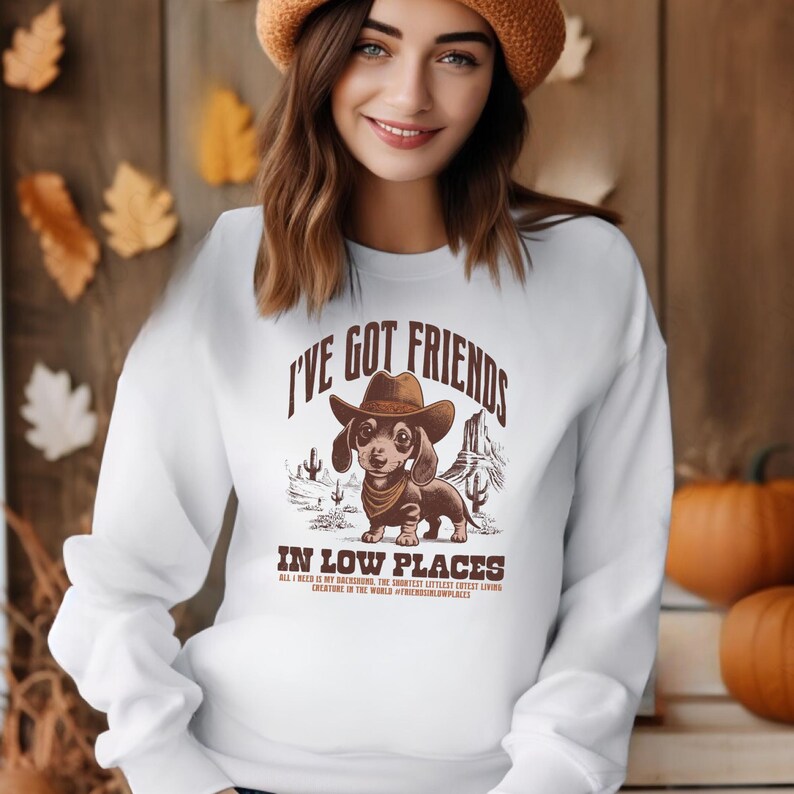 May include: White sweatshirt with a graphic featuring a dachshund wearing a cowboy hat, desert landscape, and the text "I'VE GOT FRIENDS IN LOW PLACES". The sweatshirt has long sleeves and a crew neck.