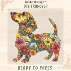 Peut inclure: Illustration d'un teckel coloré orné de fleurs, avec le texte "ColorWhisper DTF TRANSFER" et "READY TO PRESS". Le chien est un mélange de jaune, orange, rouge et vert, avec une variété de fleurs.