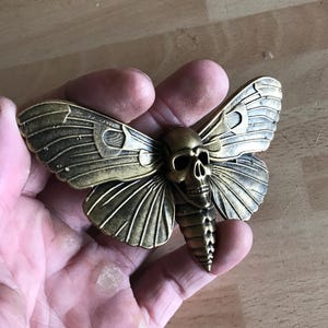 May include: A bronze-colored moth-shaped brooch with a skull head. The wings have detailed vein patterns and a crescent moon shape. The brooch is held in a hand.