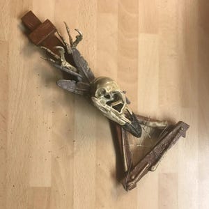 May include: A skeletal bird skull with a broken wing and claws, mounted on a wooden base with a wire mesh design.