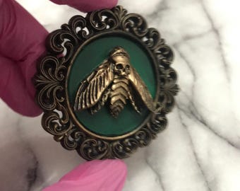 Death's-Head Moth Frame – Gothic Wall Art, Occult Decor