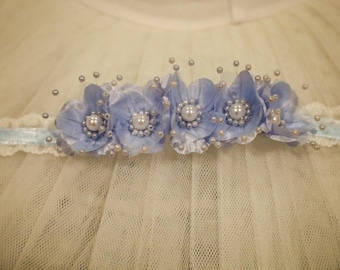 Blue Bird