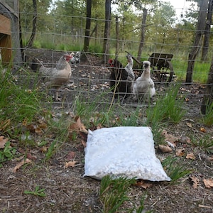May include: An outdoor scene featuring several chickens behind a wire fence. A white bag of feed sits in the foreground. The background includes trees, grass, and a small cart.