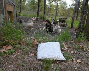 Gusci di ostriche frantumati – 3 kg – Calcio naturale per galline ovaiole