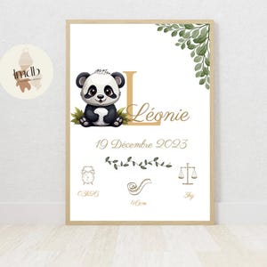 Póster del nacimiento del panda