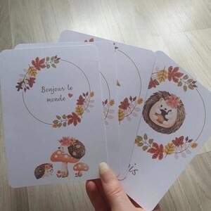 Cartes étapes hérisson