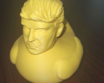 Trump duck