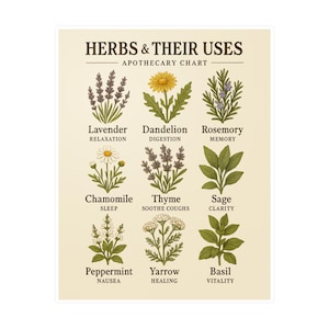 Herbal Use Kiss-Cut Vinyl-Aufkleber, Apothekerplan-Aufkleber für Wohnkultur, Geschenk für Pflanzenliebhaber, Wellness-Enthusiast-Abziehbilder, Küchendekor