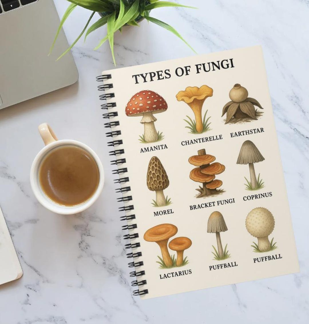 Mushroom Identification Spiral Notebook: Fungi Research Journal - Etsy