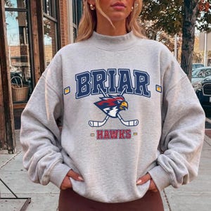 May include: A light gray crewneck sweatshirt featuring a mock neck collar and long sleeves. The front displays the text BRIAR in dark blue, a graphic of a hawk head with two crossed hockey sticks, and the red text HAWKS with yellow accents.