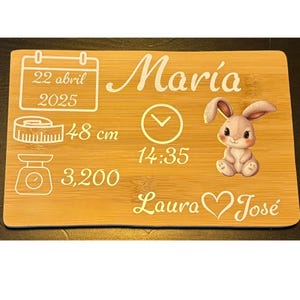 Pierre de naissance personnalisée nouveau-né avec bébé animal Cartel avec bébé décoré avec un animal bébé Regalo personalizado recién nacido