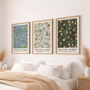 May include: Three framed prints of floral patterns by William Morris. The prints are in a light blue, white, and dark green color scheme. The text on the prints reads "William Morris" and the name of the institution where the print is housed.