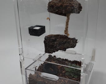 Magnetic Jumping Spider Feeder Dish | 3D Printed Mealworm Water Bowl