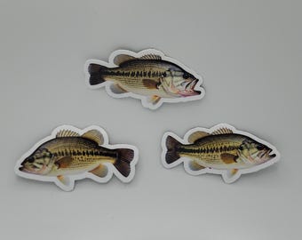 3 pack Largemouth Bass sticker