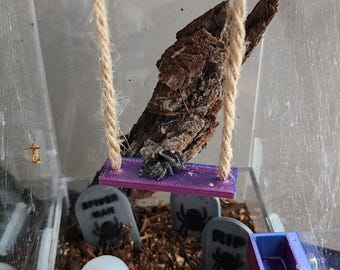 Jumping Spider Rope Swing | Rainbow Magnetic 3D Printed Enrichment