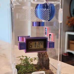 Jumping Spider and Reptile Hydrometer Monitor