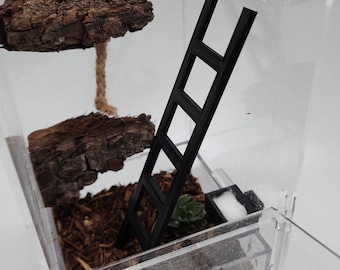 May include: A clear plastic terrarium with a black ladder, a small succulent plant, and a brown piece of wood with a rope attached.