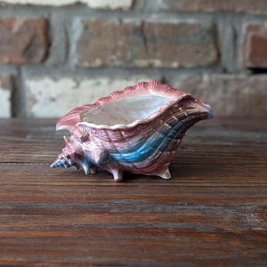 May include: A ceramic seashell planter in shades of pink, blue, and brown. The planter has a textured surface and a wide opening. It is placed on a wooden surface with a brick background.