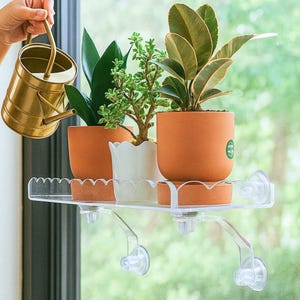 May include: A clear, transparent window shelf with three potted plants. The plants are in terracotta and white pots. A gold watering can is pouring water onto the plants. The shelf is attached to the window with suction cups.