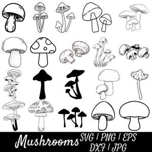Mushroom SVG Bundle | Hand Drawn Moon Phases & Celestial Clipart | Digital Download