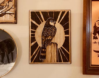 Sharp Shinned Hawk Pyrography Wall Art