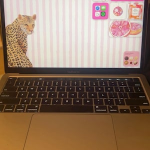 May include: A silver laptop with a black keyboard and trackpad displaying a digital desktop wallpaper. The screen features a light pink and white striped background with a leopard illustration, a pink bow, a clock, and various app icons.