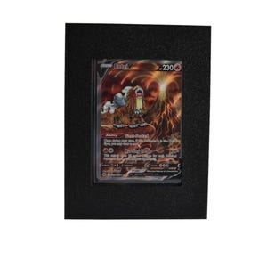 Peut inclure: Carte à collectionner encadrée représentant une créature avec un corps marron et beige, une longue crinière et un fond enflammé. La carte contient du texte et des chiffres, dont "Entei V" et "230". Le cadre est noir.