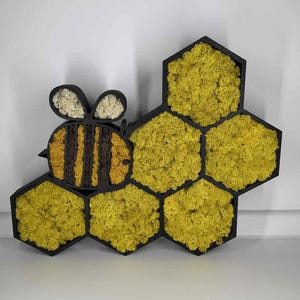 May include: A wall-mounted decorative piece featuring a black bee-shaped frame and five black hexagonal frames filled with bright yellow preserved moss. The bee has striped yellow and brown moss segments and two white moss-filled wings.