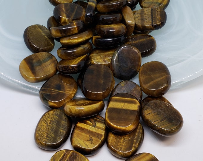 Tiger Eye Medallions