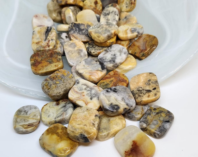 Crazy Lace Agate Medallions
